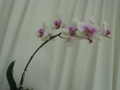 CIMG8071