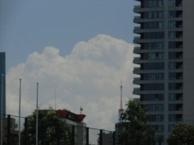 CIMG8138