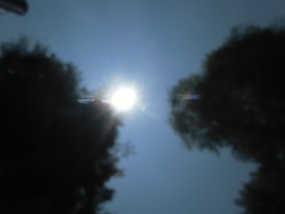 CIMG8136