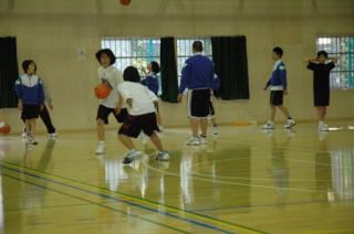 男子バスケットボール部写真