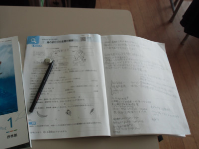 CIMG5049